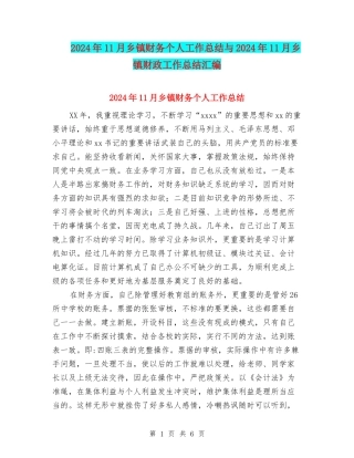 2024年11月乡镇财务个人工作总结与2024年11月乡镇财政工作总结汇编