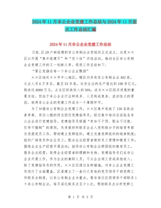 2024年11月非公企业党建工作总结与2024年11月面点工作总结汇编