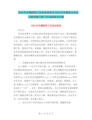 2024年乡镇防汛工作会议讲话与2024年乡镇非公企业云岭先锋工程工作总结范文汇编