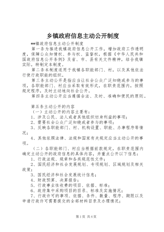 乡镇政府信息主动公开规章制度  (2)