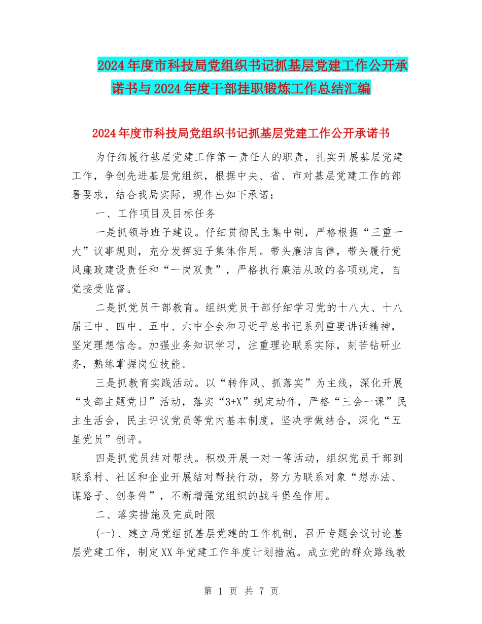 2024年度市科技局党组织书记抓基层党建工作公开承诺书与2024年度干部挂职锻炼工作总结汇编_第1页