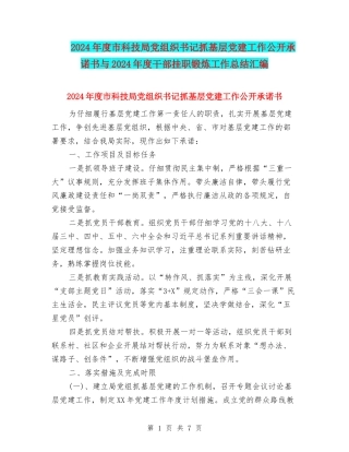2024年度市科技局党组织书记抓基层党建工作公开承诺书与2024年度干部挂职锻炼工作总结汇编