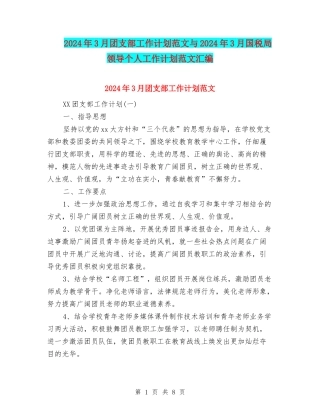 2024年3月团支部工作计划范文与2024年3月国税局领导个人工作计划范文汇编