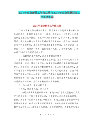 2024年企业新员工年终总结与2024年企业核算财务工作总结汇编