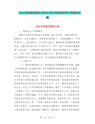 2024年防检队情况小结与2024年防汛防旱工作意见汇编