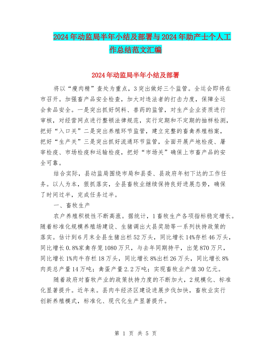 2024年动监局半年小结及部署与2024年助产士个人工作总结范文汇编_第1页