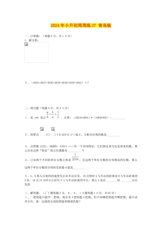 2024年小升初周周练27-青岛版