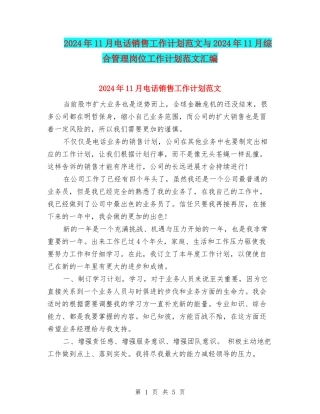 2024年11月电话销售工作计划范文与2024年11月综合管理岗位工作计划范文汇编