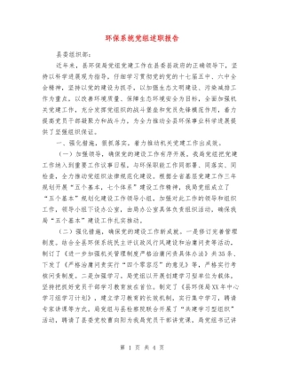 环保系统党组述职报告