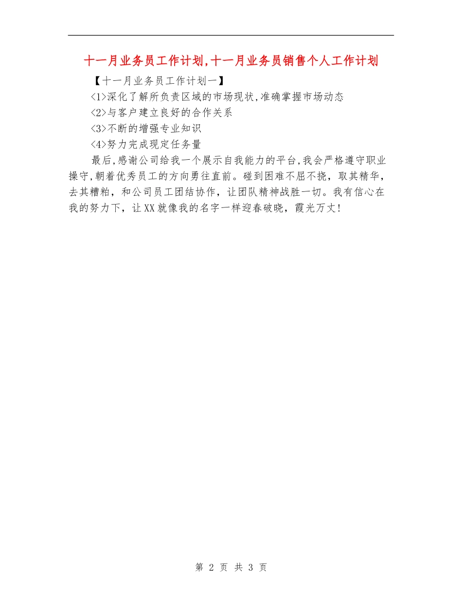 十一月业务员工作计划_第2页