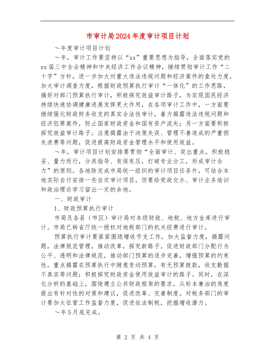 市审计局2024年度审计项目计划_第2页