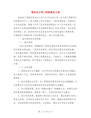 地方部门预算整改方案