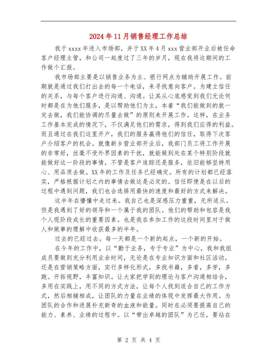 2024年11月销售经理工作总结【新版】_第2页