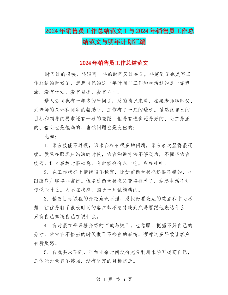 2024年销售员工作总结范文1与2024年销售员工作总结范文与明年计划汇编_第1页