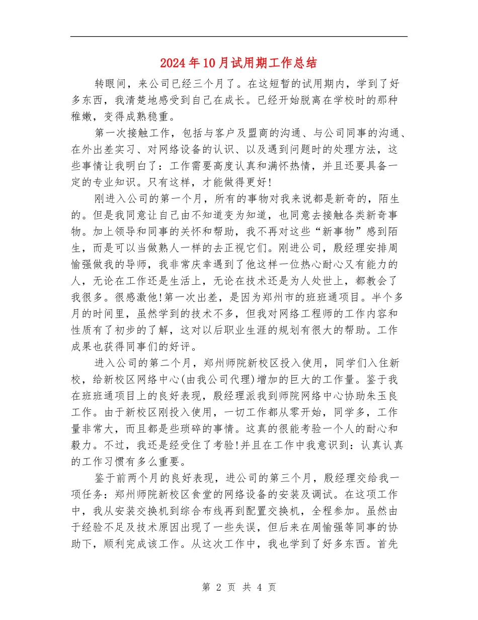 2024年10月试用期工作总结【新版】_第2页
