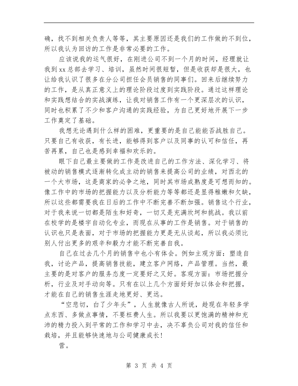 销售新员工试用期工作总结_第3页