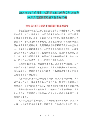 2024年10月公司员工试用期工作总结范文与2024年10月公司基层管理者工作总结汇编