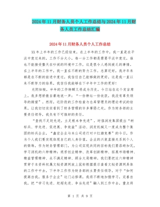 2024年11月财务人员个人工作总结与2024年11月财务人员工作总结汇编
