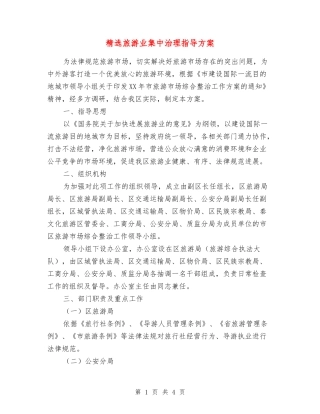 旅游业集中治理指导方案