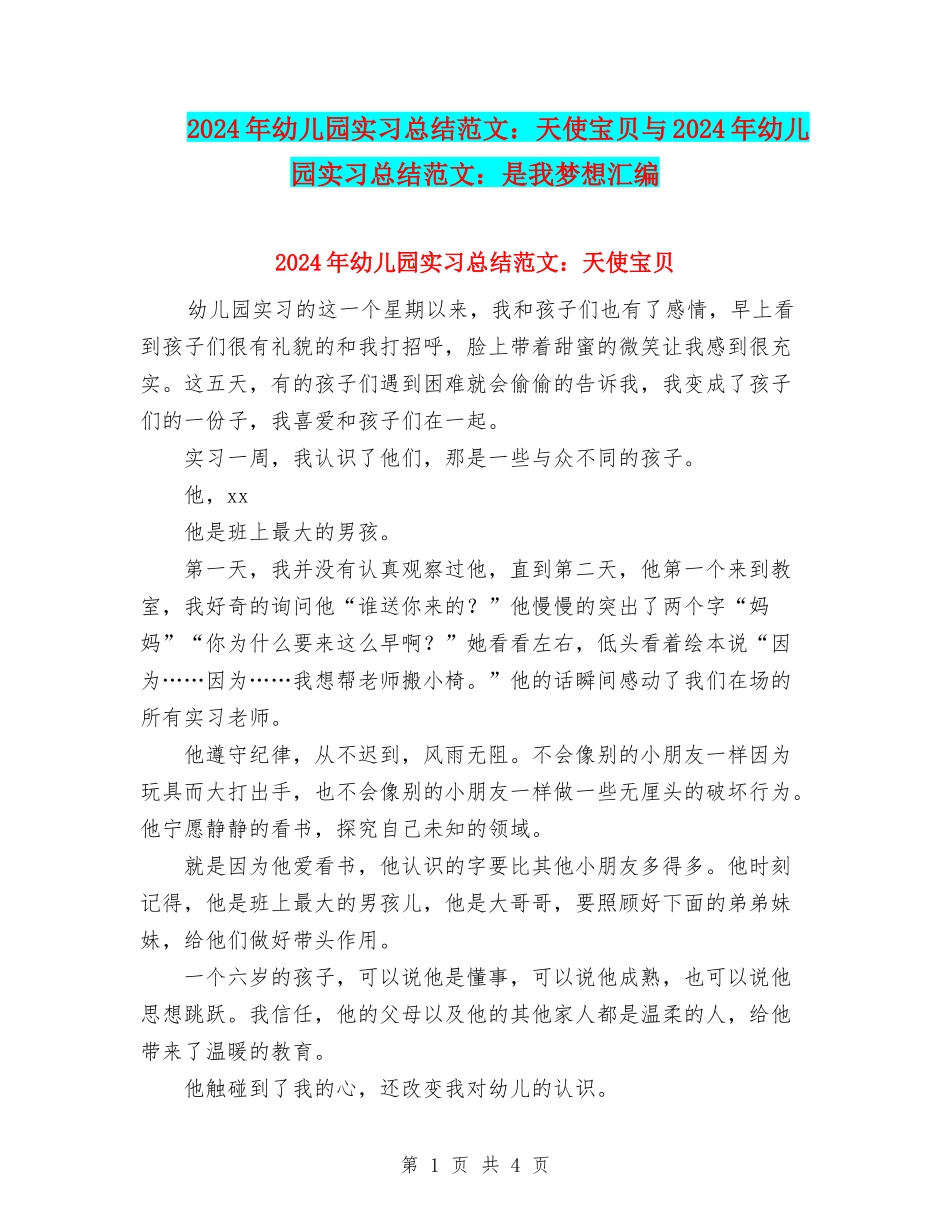 2024年幼儿园实习总结范文：天使宝贝与2024年幼儿园实习总结范文：是我梦想汇编_第1页