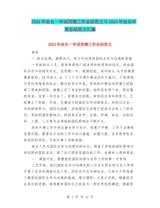 2024年处长一年试用期工作总结范文与2024年处长年度总结范文汇编