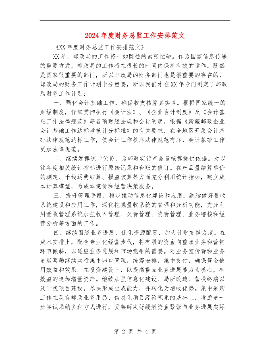 2024年度财务总监工作安排范文_第2页
