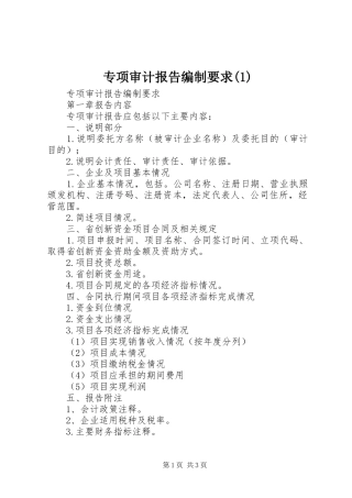 专项审计报告编制要求