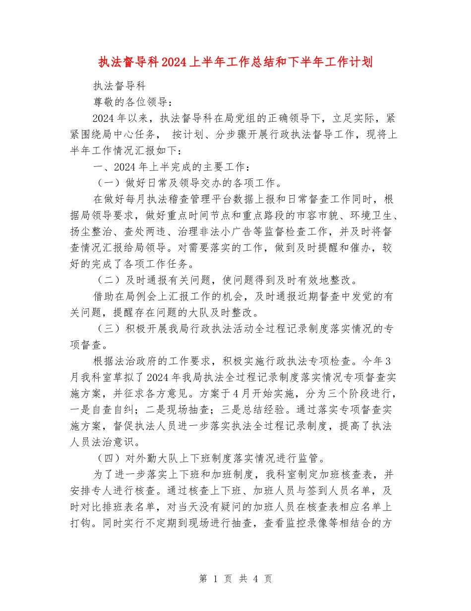 执法督导科2024上半年工作总结和下半年工作计划_第1页