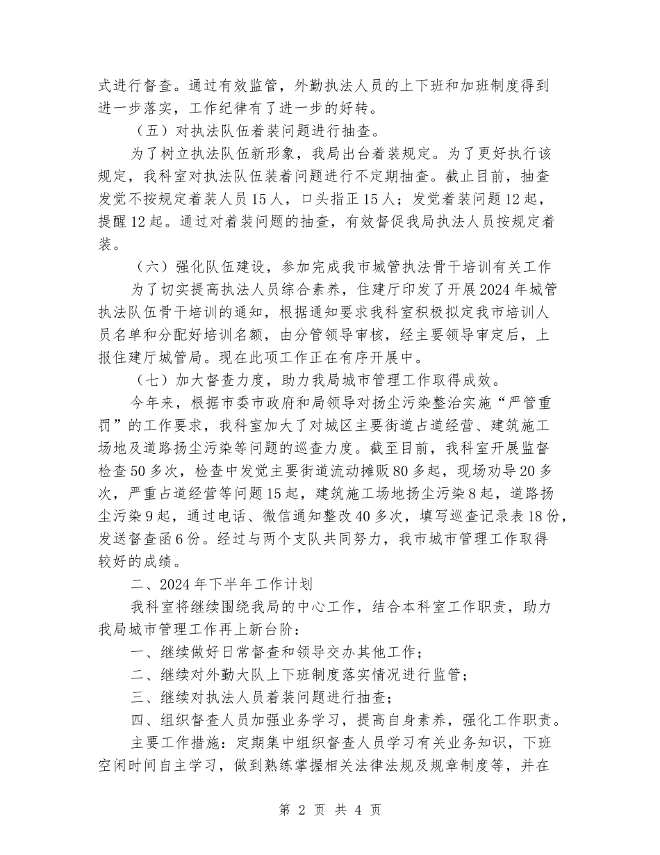 执法督导科2024上半年工作总结和下半年工作计划_第2页