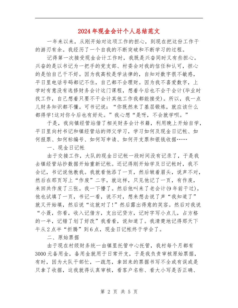 2024年现金会计个人总结范文【新版】_第2页