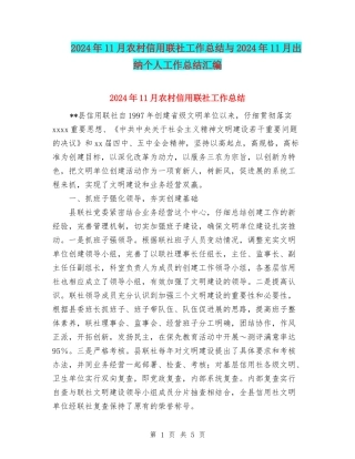 2024年11月农村信用联社工作总结与2024年11月出纳个人工作总结汇编