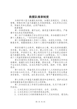 救援队规章规章制度