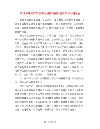 2024开展三严三实和忠诚干净担当活动学习心得体会