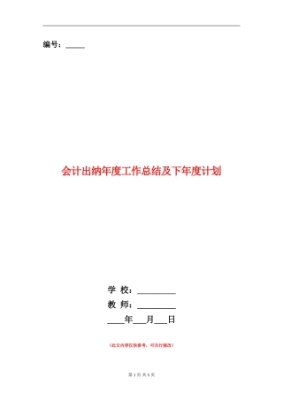 会计出纳年度工作总结及下年度计划