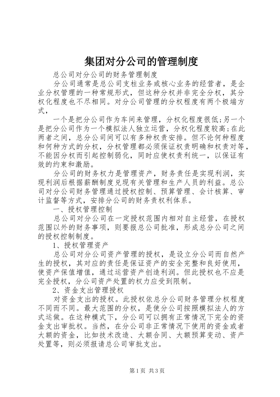 集团对分公司的管理规章制度_第1页