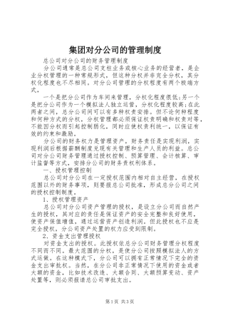 集团对分公司的管理规章制度