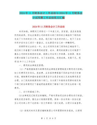 2024年11月财务会计工作总结与2024年11月财务会计试用期工作总结范文汇编