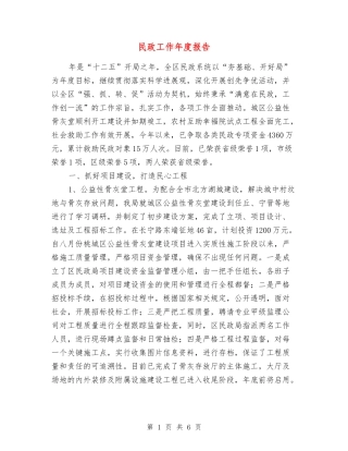 民政工作年度报告