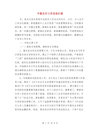 中银支行工作总结汇报