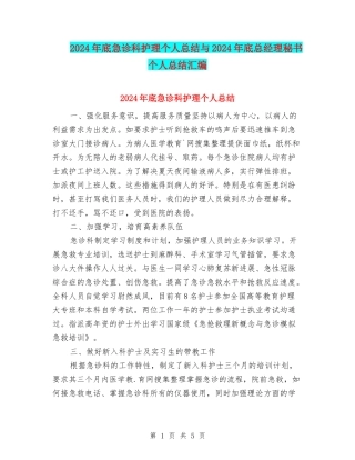 2024年底急诊科护理个人总结与2024年底总经理秘书个人总结汇编