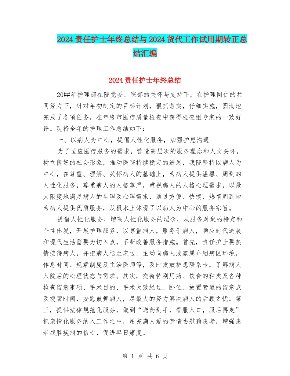 2024责任护士年终总结与2024货代工作试用期转正总结汇编_第1页