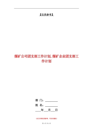 煤矿公司团支部工作计划