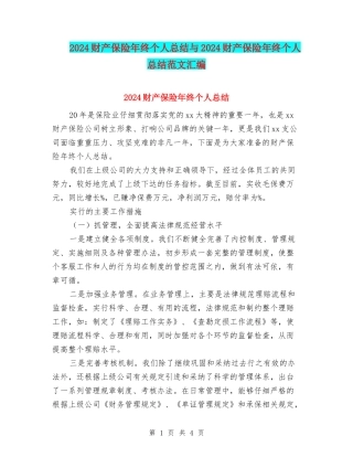 2024财产保险年终个人总结与2024财产保险年终个人总结范文汇编