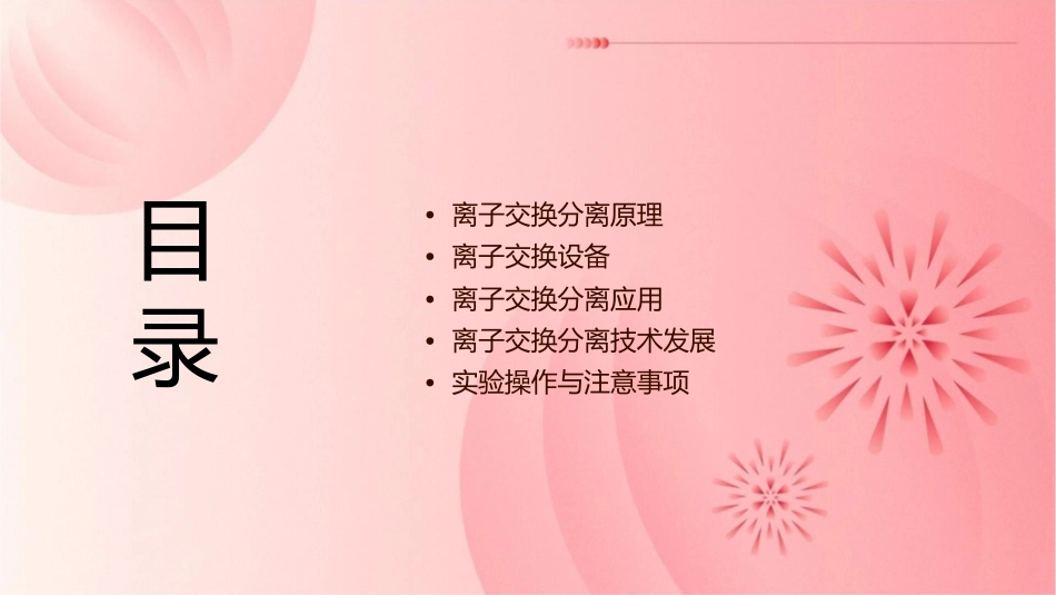 离子交换分离原理及设备教学课件_第2页