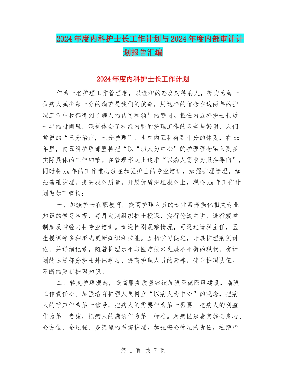 2024年度内科护士长工作计划与2024年度内部审计计划报告汇编_第1页