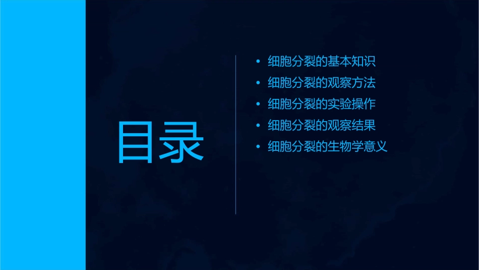 细胞分裂的观察课件_第2页