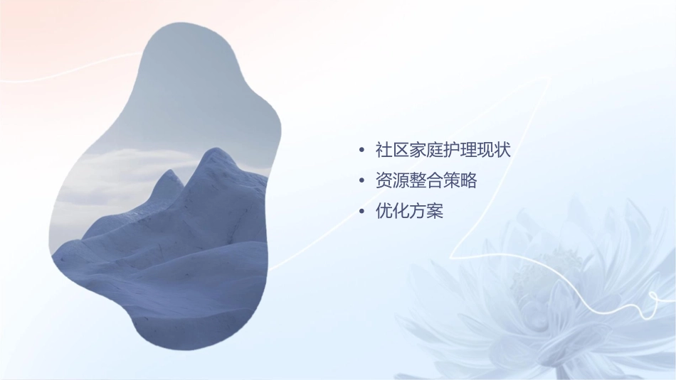 社区家庭护理资源的整合与优化_第2页