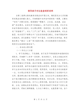 领导班子对照检查剖析材料