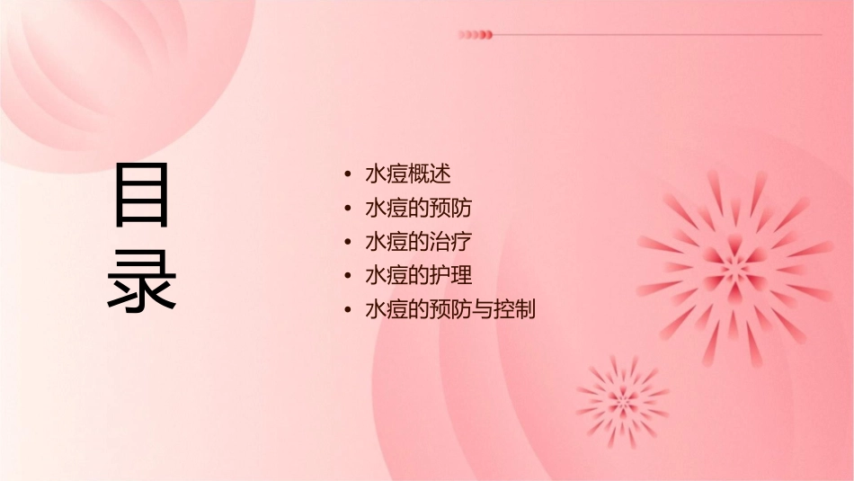 水痘讲课护理课件_第2页