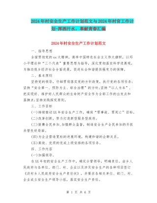2024年村安全生产工作计划范文与2024年村官工作计划-挥洒汗水-奉献青春汇编